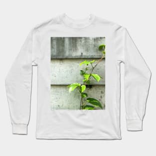 Vine of Betel plant growing up on the cement wall Long Sleeve T-Shirt